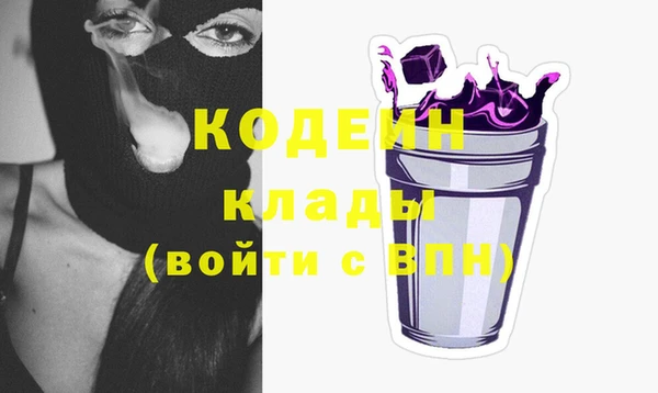 прущие грибы Новозыбков