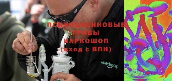 прущие грибы Новозыбков