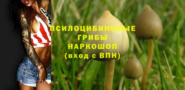 ECSTASY Нея