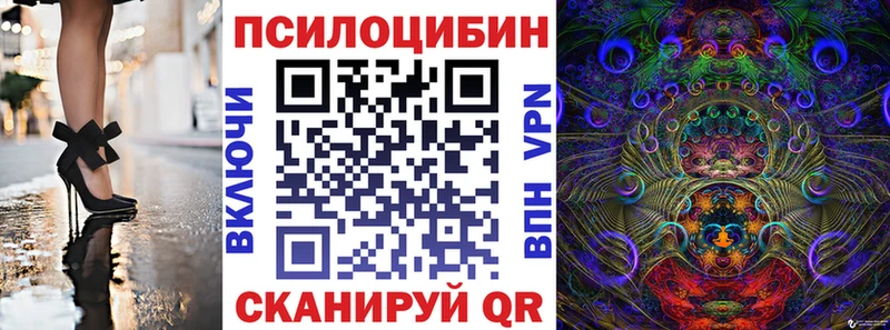 Купить где  Архангельск  Псилоцибиновые грибы Psilocybine cubensis 